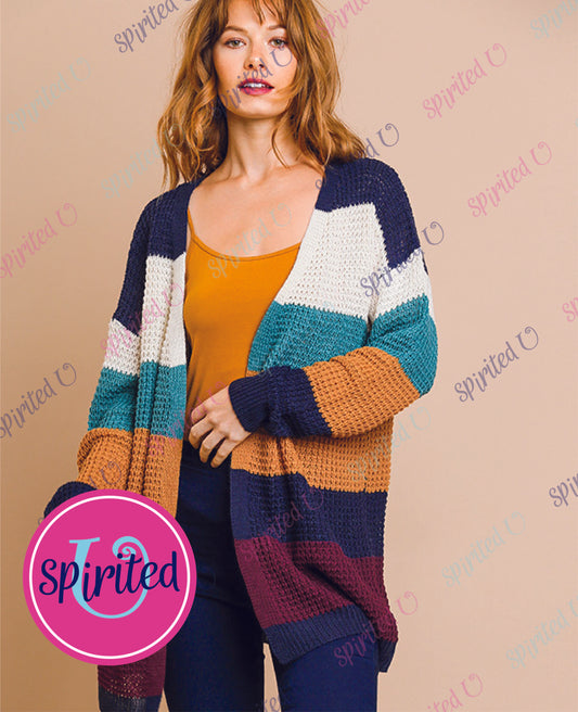 Sweater Cardigan with Fall Multi-Stripe Colors